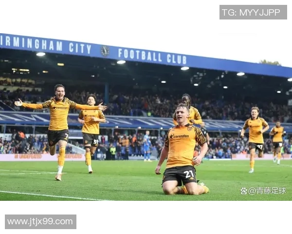 南安普顿主场迎战莱切斯特城赛事分析与胜负推荐