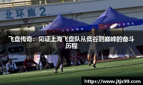 飞盘传奇：见证上海飞盘队从低谷到巅峰的奋斗历程